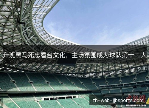 升班黑马死忠看台文化，主场氛围成为球队第十二人